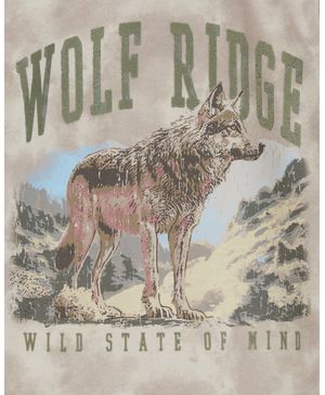Camiseta Gráfica De Lobo Oshkosh B'Gosh