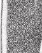 2R978210_03