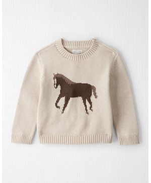 Suéter De Punto Trenzado De Algodón Orgánico Carter's Little Planet