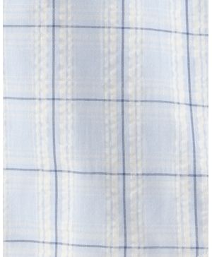 Camisa De Botones A Cuadros Azul Carter's