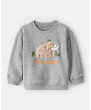Sudadera Con Cuello Redondo Con Mamut En Gris Carter's